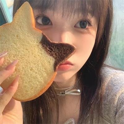 熊出没